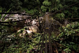 Teer Result Today March 20, 2026: Shillong, Khanapara & Juwai Numbers Live Updates