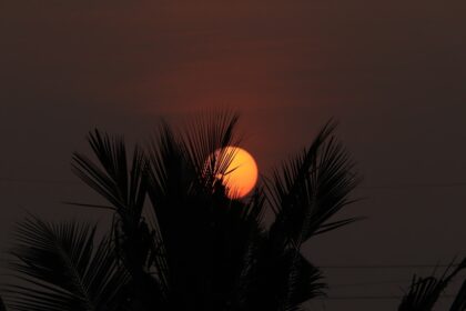 Chennai Weather Alert: March 2026 Heat Wave Hits 38°C - Schools Adjust Timings