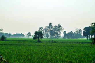 Kyunki Saas Bhi Kabhi Bahu Thi: How Ekta Kapoor's Iconic Show Changed Indian Television Forever