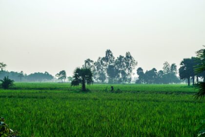 Kyunki Saas Bhi Kabhi Bahu Thi: How Ekta Kapoor's Iconic Show Changed Indian Television Forever