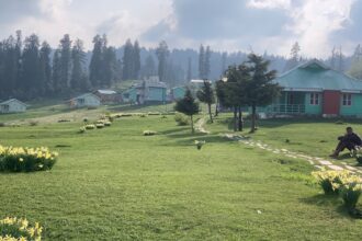 Asiya Andrabi Sports Connection: When Kashmir's Controversial Leader Made Headlines in Athletic Discussions