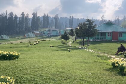 Asiya Andrabi Sports Connection: When Kashmir's Controversial Leader Made Headlines in Athletic Discussions