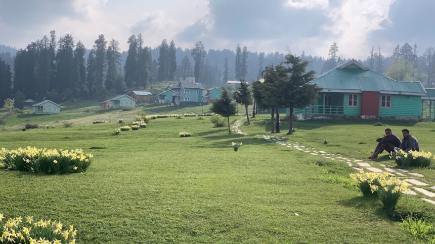Asiya Andrabi Sports Connection: When Kashmir's Controversial Leader Made Headlines in Athletic Discussions