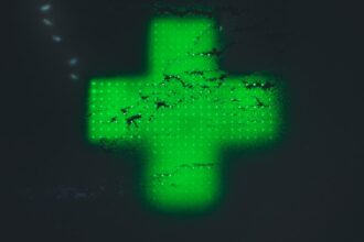 Minecraft Java Edition 1.21.3 Brings Bundles and Cherry Grove Improvements to Indian Gamers