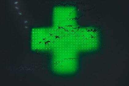 Minecraft Java Edition 1.21.3 Brings Bundles and Cherry Grove Improvements to Indian Gamers