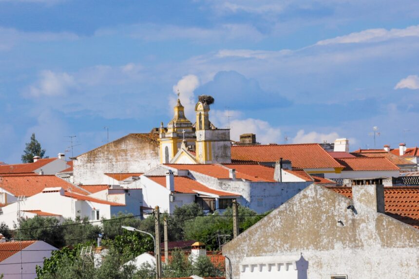 Nuno Borges: The Portuguese Tennis Star Making Waves in Indian Tennis Circuits