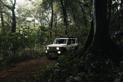 Suzuki's Dominance in Indian Market: From Maruti 800 to Electric Dreams in 2026