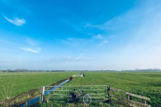 AZ Alkmaar vs Shakhtar Donetsk: European Football Showdown That Indian Fans Should Watch