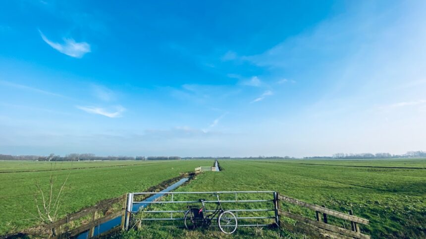 AZ Alkmaar vs Shakhtar Donetsk: European Football Showdown That Indian Fans Should Watch