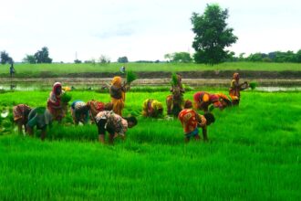 Arre Bhai, Modi Sarkar's PM-KISAN Scheme Reaches 12 Crore Farmers in 2026 - Agriculture Revolution Ya Sirf Kaagzi Kaarvaai?