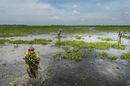 Falta West Bengal: Hidden Gem Between Kolkata and Diamond Harbour Worth Visiting in 2026