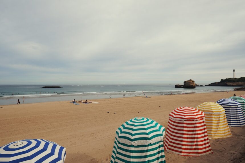 Estoril Praia vs Benfica: How AI Analytics Are Changing Football Match Predictions in 2026